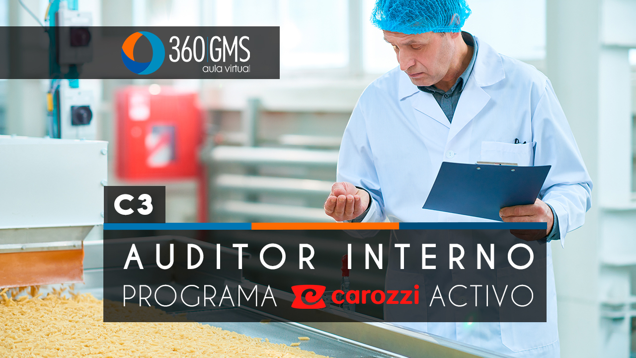 3276_C3 - Auditor Interno Programa Carozzi Activo