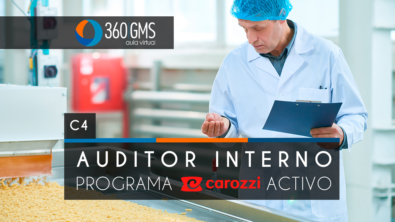 3276_C4 - Auditor Interno Programa Carozzi Activo