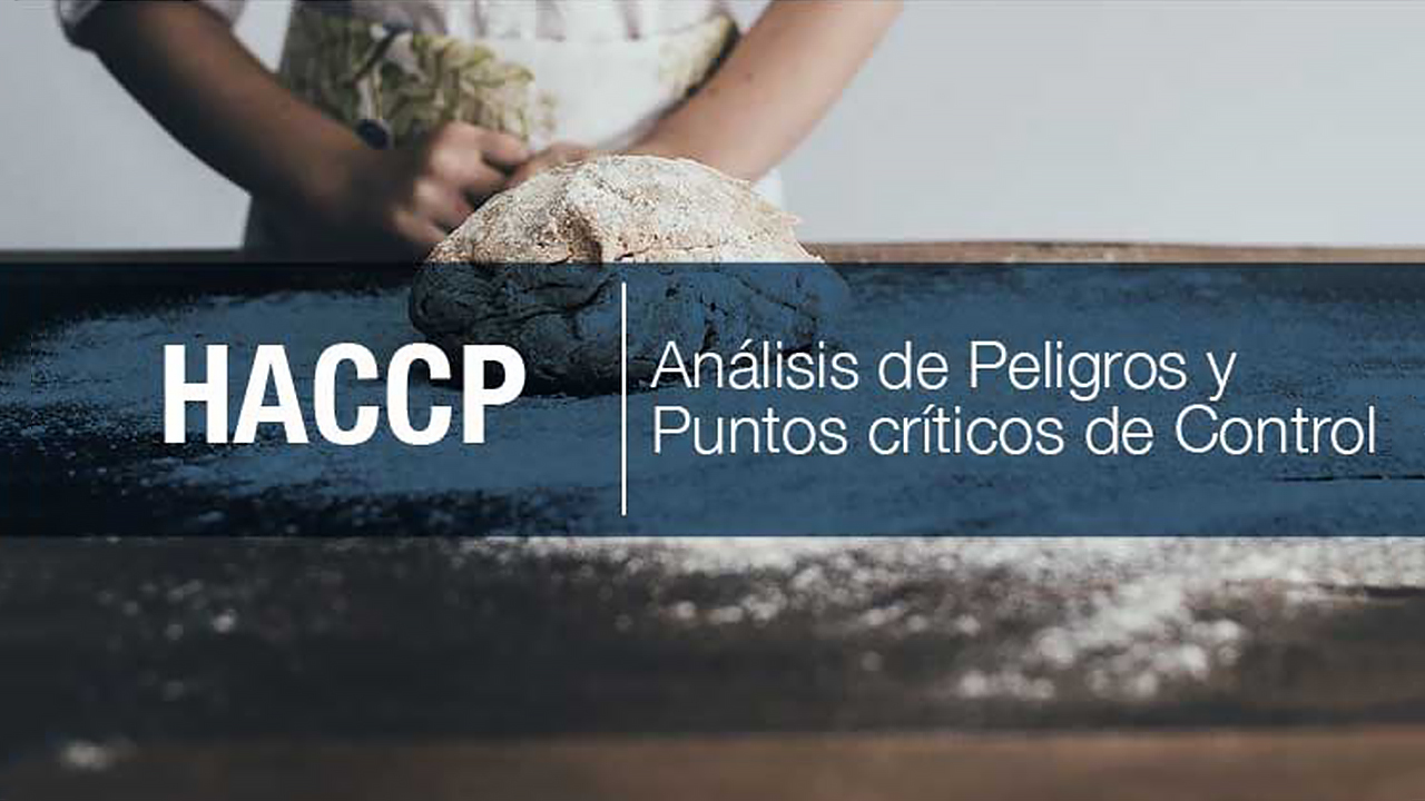 Curso Abierto HACCP (1)