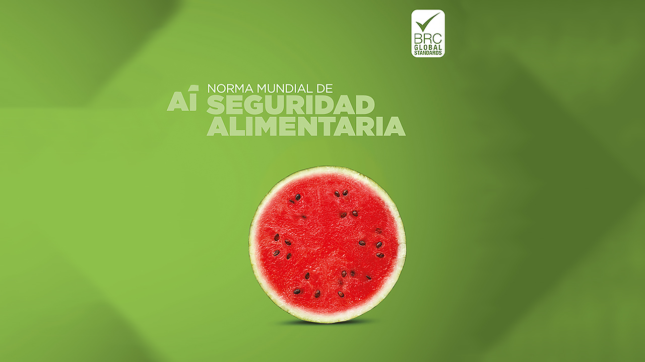 Interpretación y análisis BRC Food V8