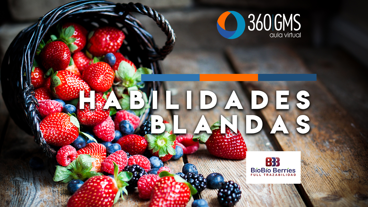 3537_C1 - Habilidades Blandas