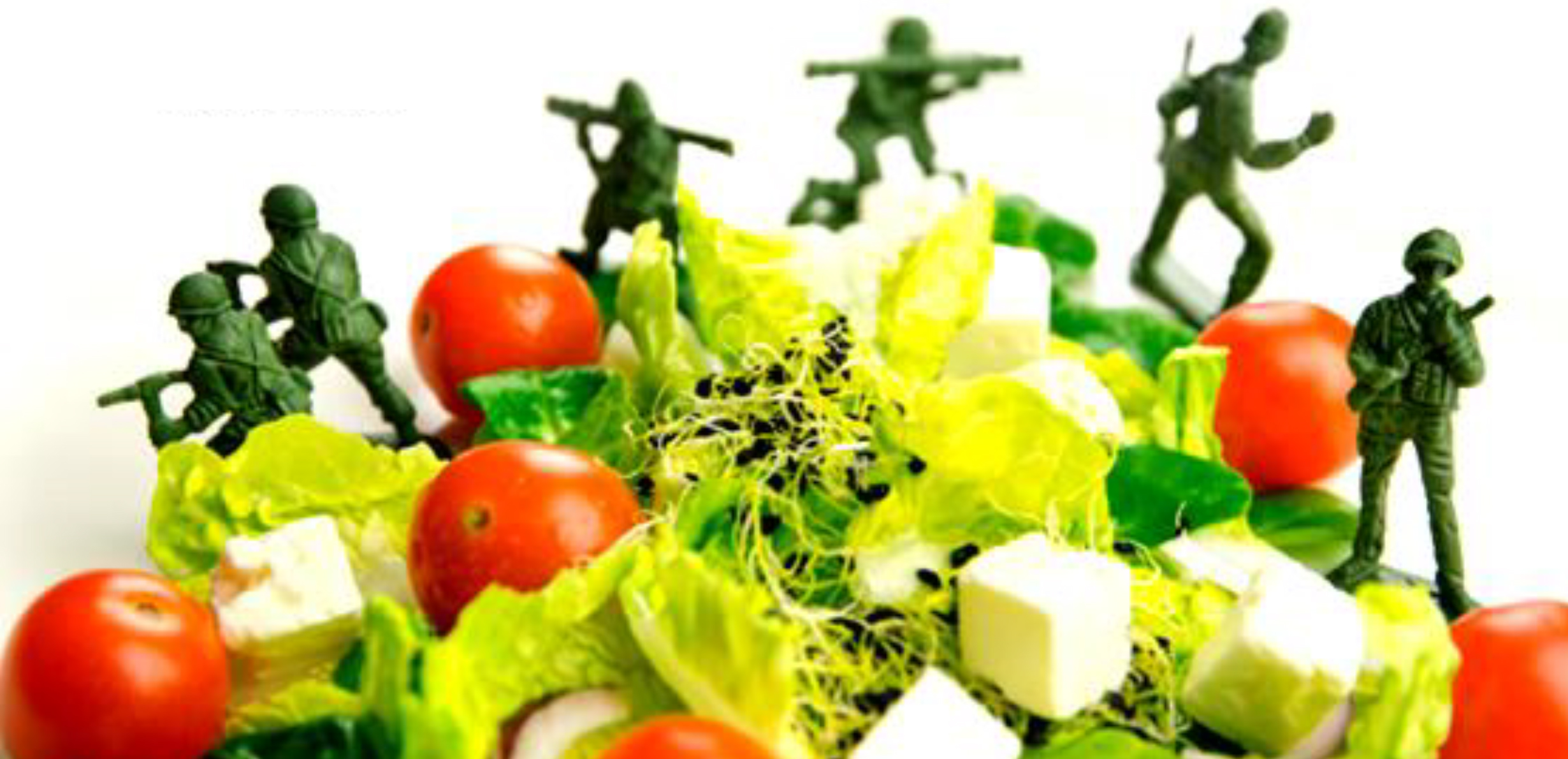 Food defense y fraude alimentario