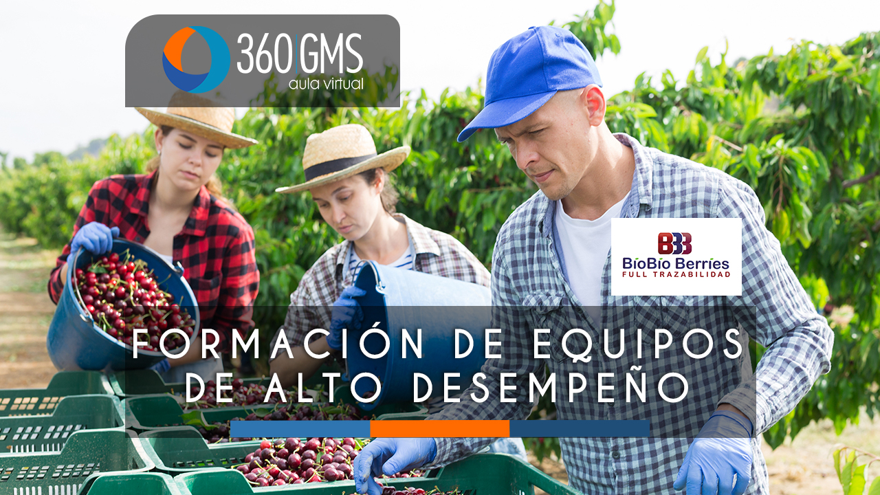 3554_C1 - Formacion de Equipos de Alto Desempeno