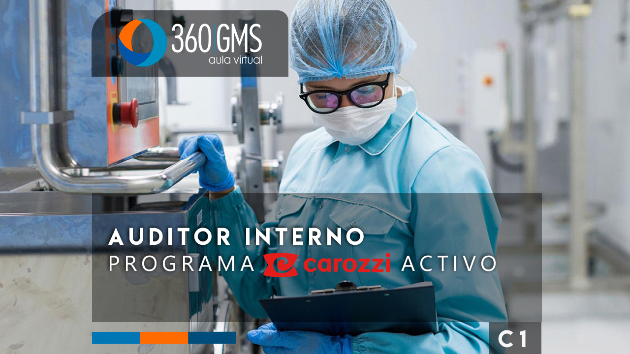 3743_C1 - Auditor Interno Programa Carozzi Activo