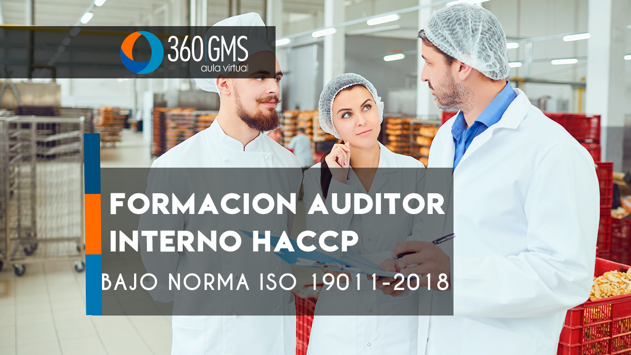 3473_C1 - Formacion de Auditor Interno Bajo Norma ISO 19011-2018